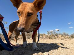 PHOTO-2025-10-30-17-11-48 3